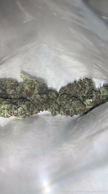 bondagebabe313 ポルノスター 無料 ギャラリー