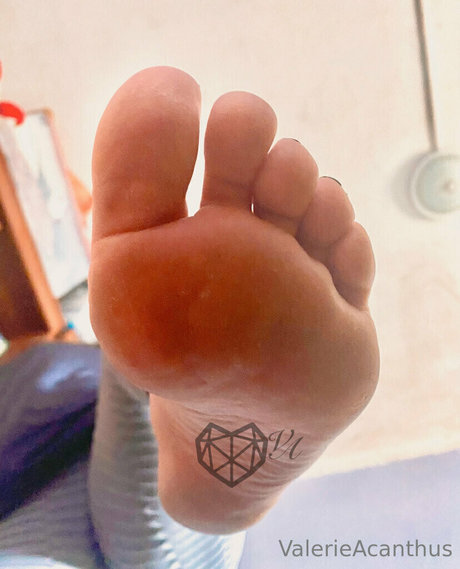 姉妹OnlyFans 美しいヌード 写真