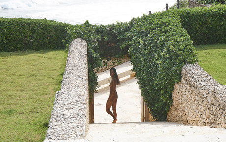 Nidhi Sunil 素敵なポルノスター ギャラリー