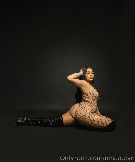 ninaa eve 完璧なポルノスター 写真