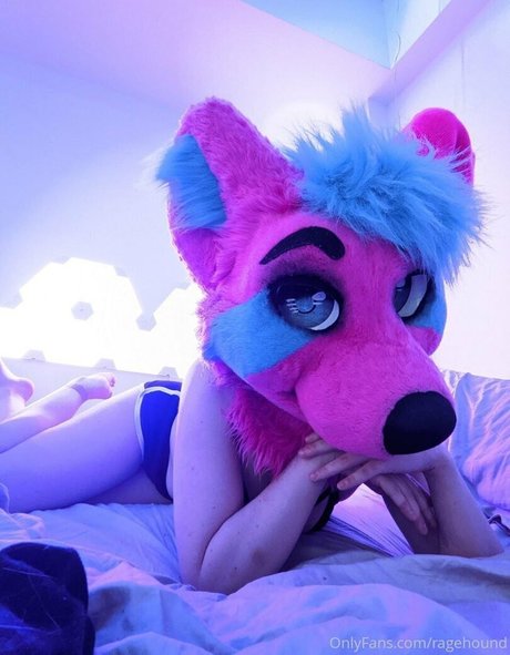 ragehound アダルトスター 画像