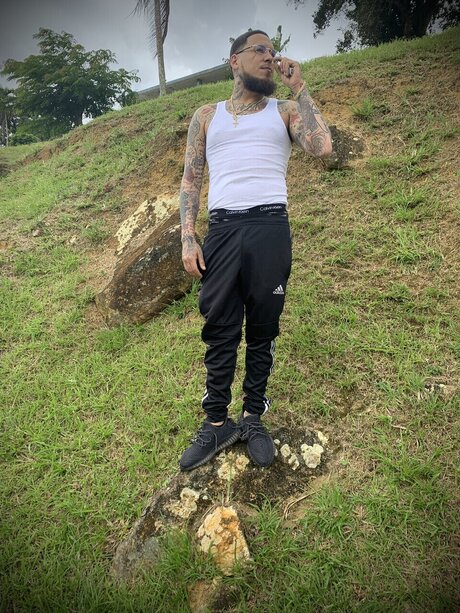 Scarface200 無料のポルノスター 画像