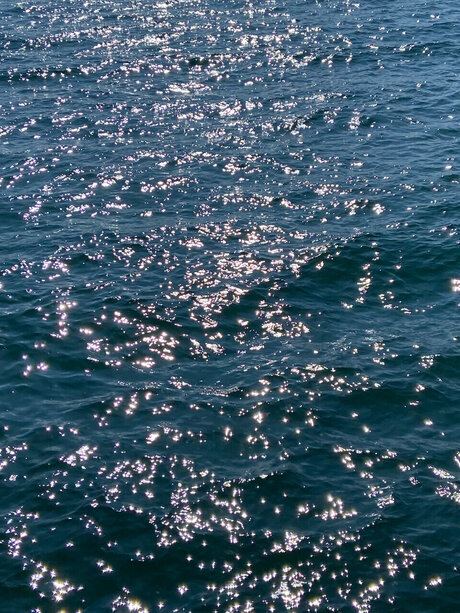 Iggyc ヌードスター 写真