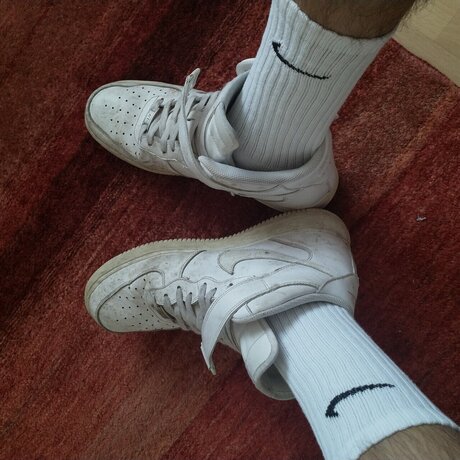 Kinky Dave かわいいスター 写真