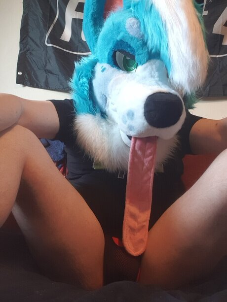 Kana Kaouri トップスター ギャラリー