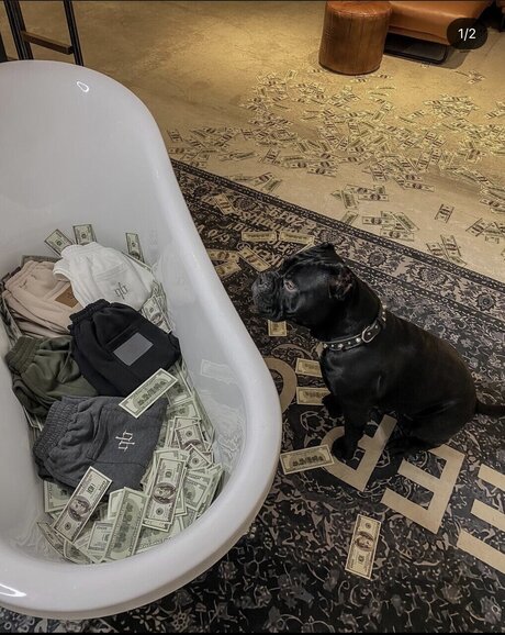 Antonyoxxx ホットなモデル 画像