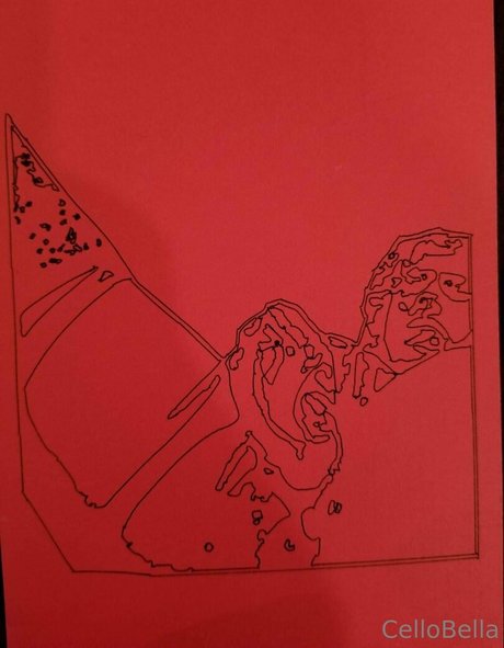 cellobella7 独占モデル アーカイブ