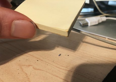 giantgodqueen セクシーなスター ギャラリー