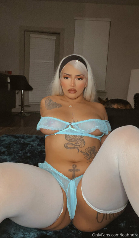 leahndra ポルノモデル 画像