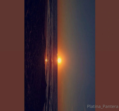 アジア人のアナルオンリーファン アートポルノ 画像