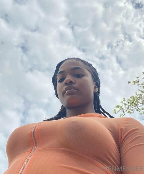 vixenmendee スター 画像