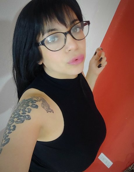 reinarock 完璧なモデル アーカイブ