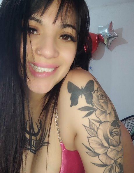 reinarock HDスター 画像