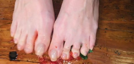 vixen arches アートスター 写真