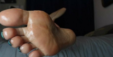 vixen arches 独占女優 画像