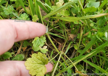 PawgトランスOnlyFans 無料ポルノ 写真