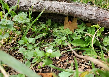 裸のプリンセスOnlyFans 素敵 画像