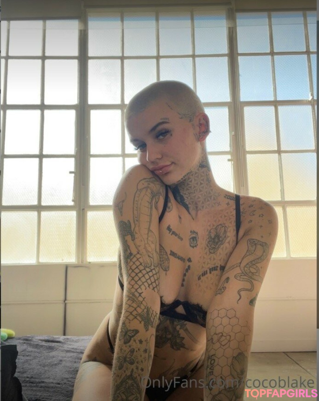 Coco Blake 最高のポルノスター ギャラリー