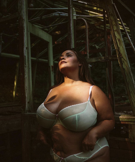 フラットオンリーファン パーフェクト 写真