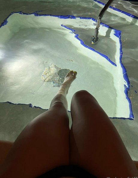 エボニートップオンリーファン 素敵 ギャラリー