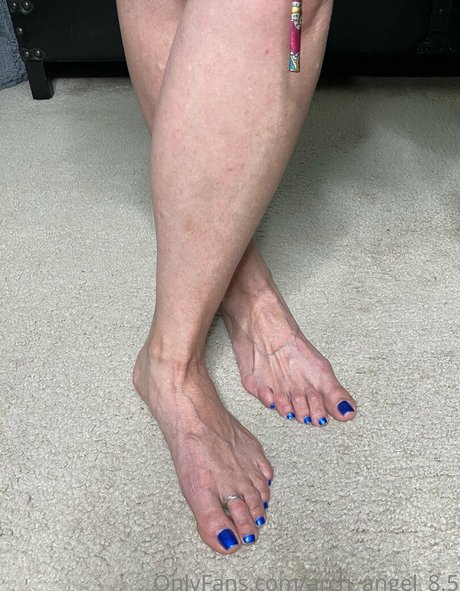 arch angel 8 5 素敵なスター ギャラリー