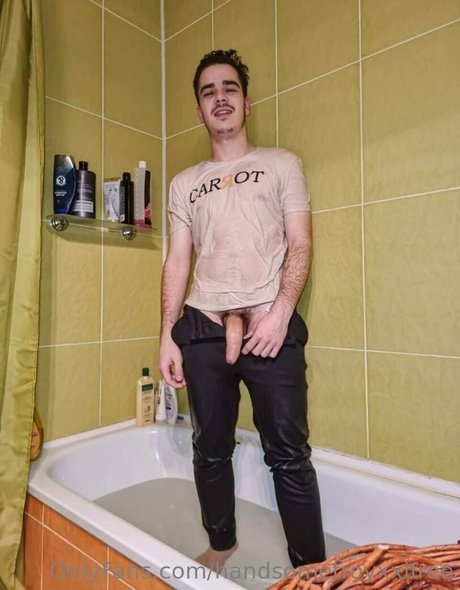 handsometroyxxlfree アートモデル アーカイブ