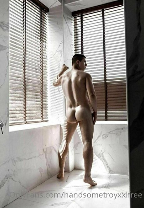 handsometroyxxlfree 最高のスター 画像