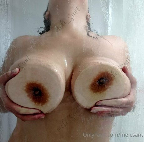 meli sant 高品質モデル ギャラリー