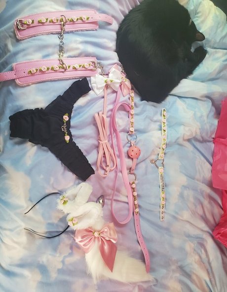 flow3r kitt3n ポルノモデル 写真