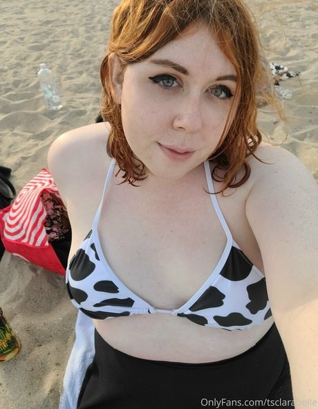 tsclarabelle 素敵なスター 写真