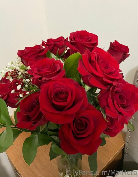 maihero 独占ポルノスター 写真