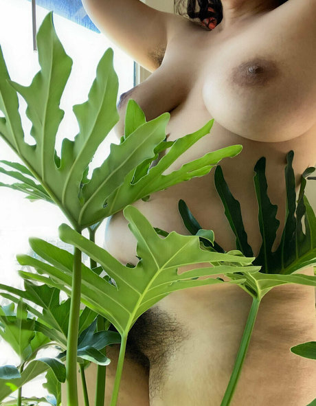 zarasutra ホットなスター 写真