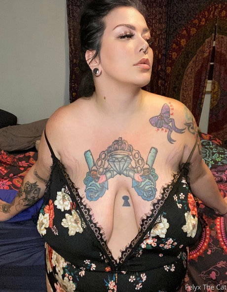 felyxthecat スター 画像