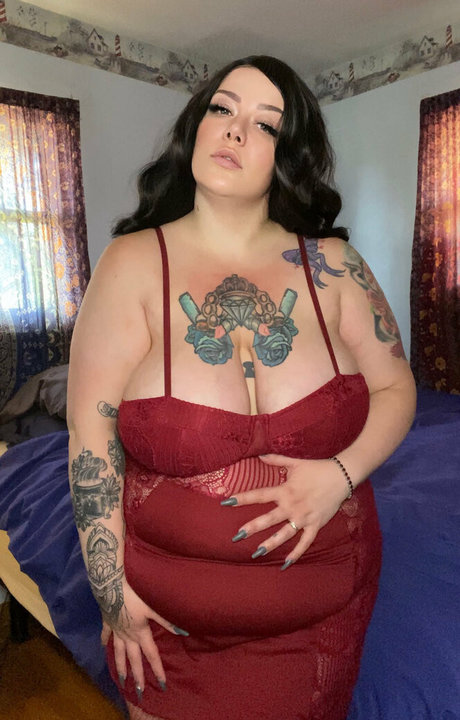 felyxthecat かわいいスター 写真