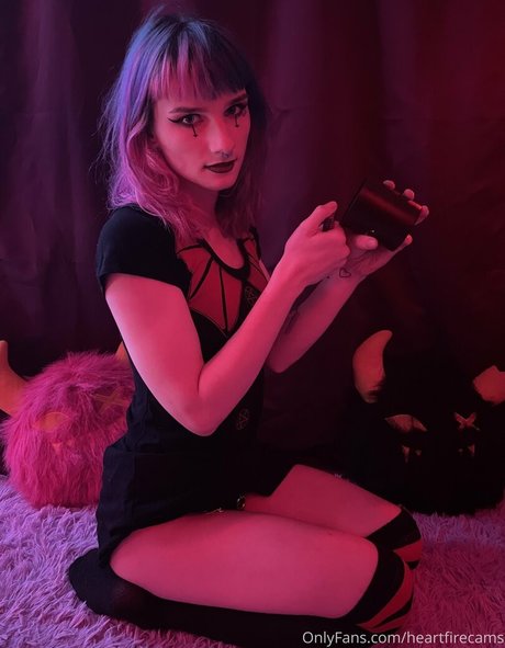 heartfirecams アートスター 画像