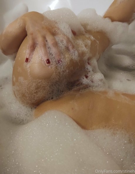 stineh HDスター アーカイブ