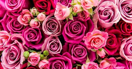 mzcourtneycummz ポルノモデル ギャラリー