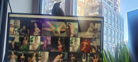 asmr フェラチオ onlyfans ポルノ 写真