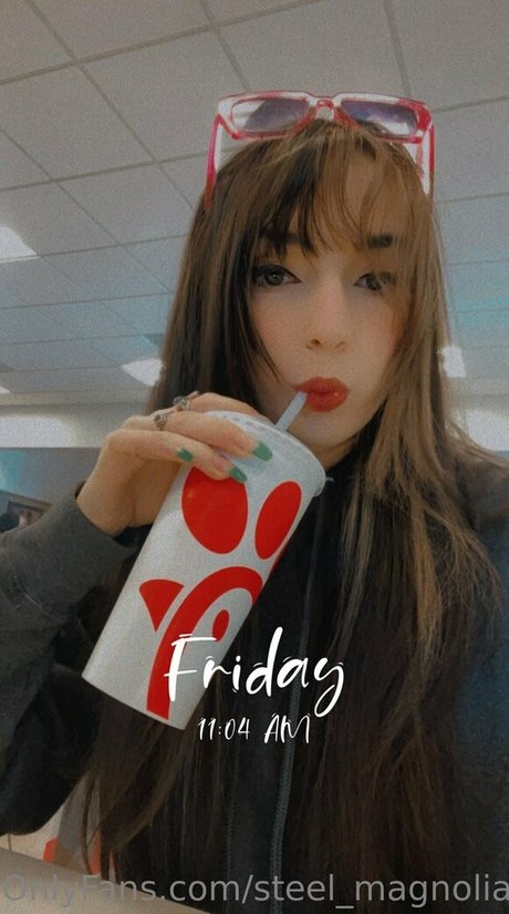 ポケモン オンリーファン 限定 アーカイブ