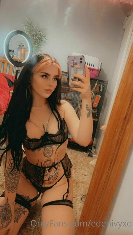 エボニートランスオンリーファンズ ベスト 写真