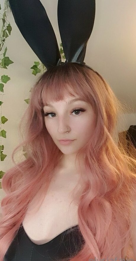 elysiafayex XXXモデル アーカイブ