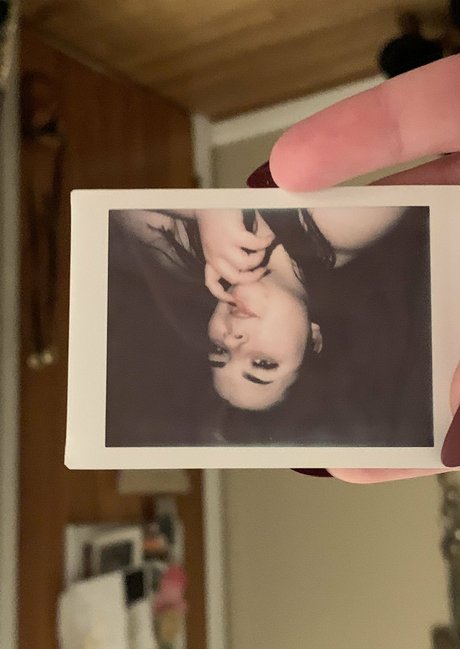 maisonfoxqueen アダルトスター 画像