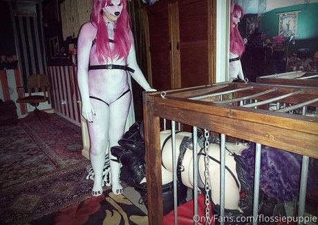 flossiepuppie 素敵なスター 写真