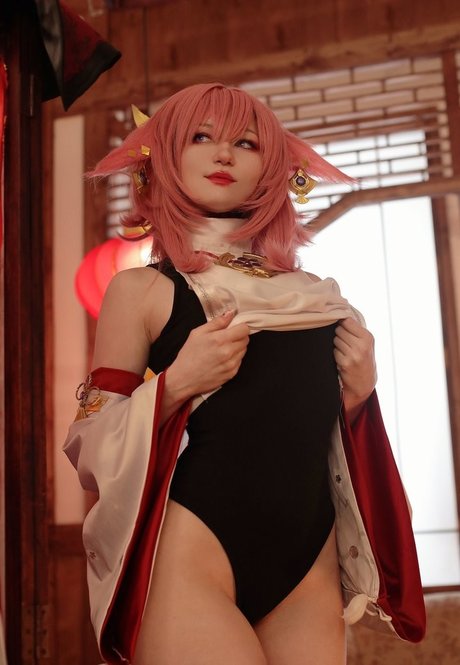 Erodaicon 美しいスター 写真