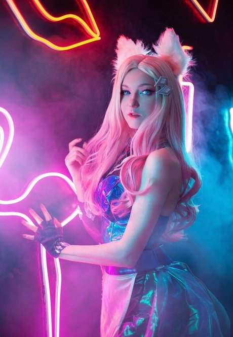 Erodaicon 美しいスター 写真