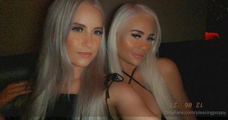 Pleasing Poppy アートスター ギャラリー