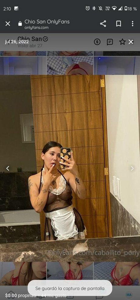 caballito pony ポルノスター 無料 写真