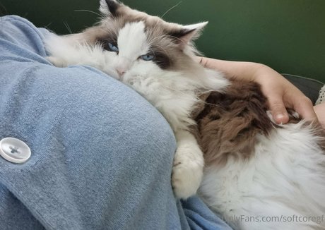 softcoregf ヌードモデル アーカイブ