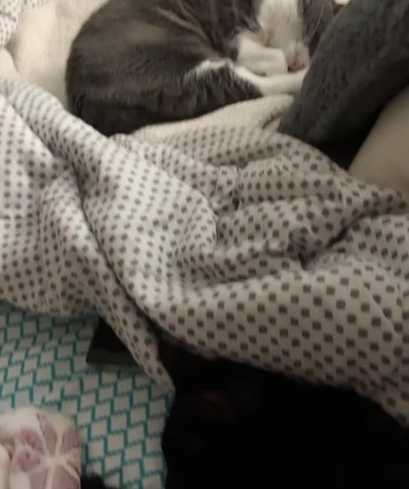 piperplatinumvip 可愛いモデル 写真