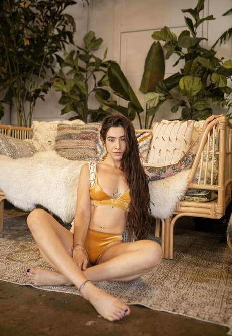 littleastronaut 完璧なスター アーカイブ